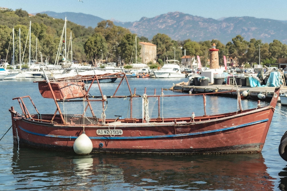 Corse-Bateau1.thumb.JPG.3f93841e708fee643f728f18e12f599b.JPG