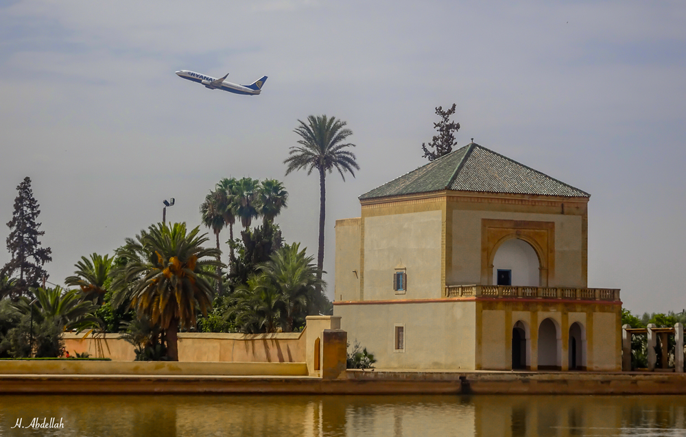 DSC00142.jpg.a20d37d8b015de2da8962871ec9cbaf7.jpg