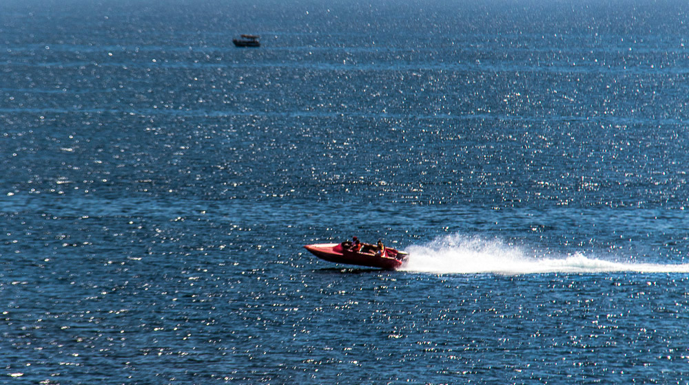 IMG_4664.jpg.a71b89c63572259ab5de49d9cf115eea.jpg