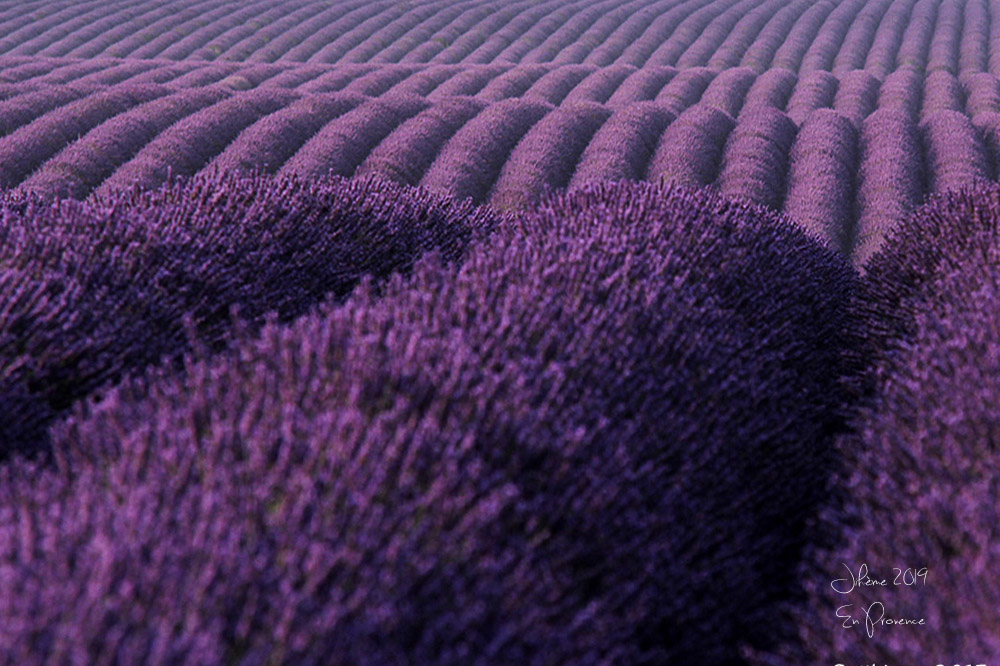 1835569491_2019enprovencevalensole8.jpg.9c8112f525cbb8b9db68ddf3cf6e74f8.jpg