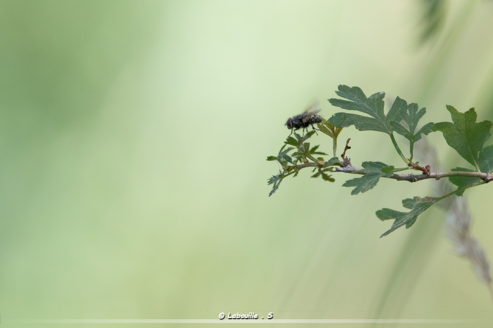7d-7306.jpg.5267c1db05398f7345f35189273af18d.jpg