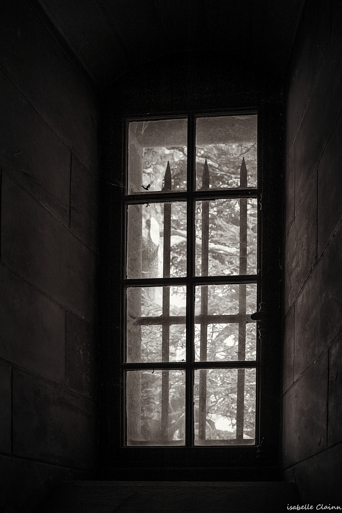chaumont 31fp.jpg