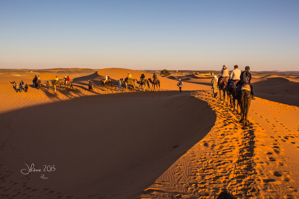 1649461222_20130112merzouga03.jpg.b44dcd56911f11e1c1149d7ebd442f6c.jpg