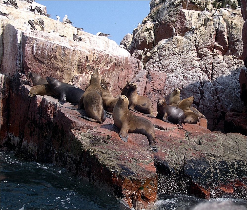 780778469_77-1000otaries.jpg.18b3f37cf309a3b6f1e548f116c6c3a2.jpg