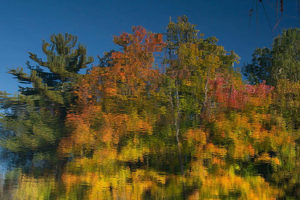 DSC06903web.jpg.344baff0f856770d4d6d975acbccaf88.jpg