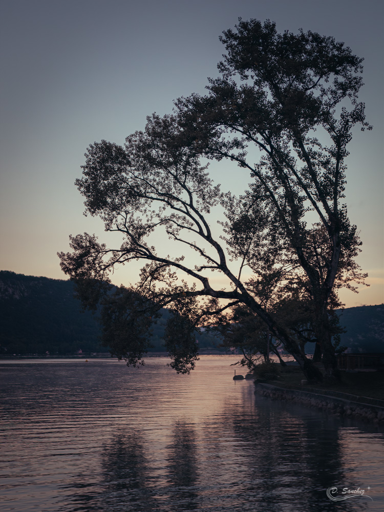 IMG_4577-Modifier.jpg.174cf5bc6a121153214ed45d3c07b84d.jpg