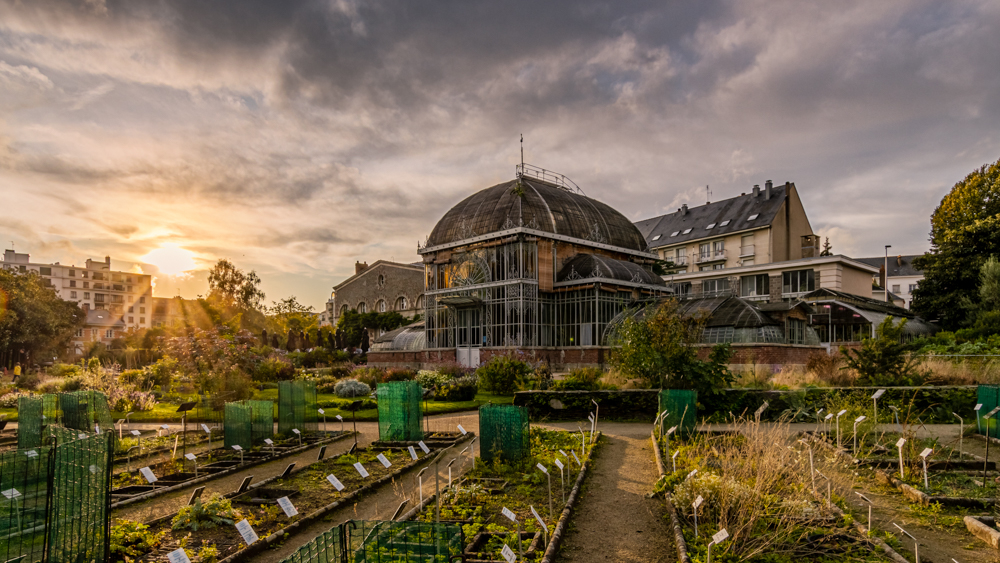 IMG_5571-HDR-Modifier.jpg.bda0f155a39c0266c657fa2222b11cb5.jpg