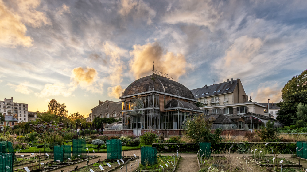 IMG_5755-HDR-Modifier.jpg.892bdd7fe50f34a6e766ba23303a36cd.jpg