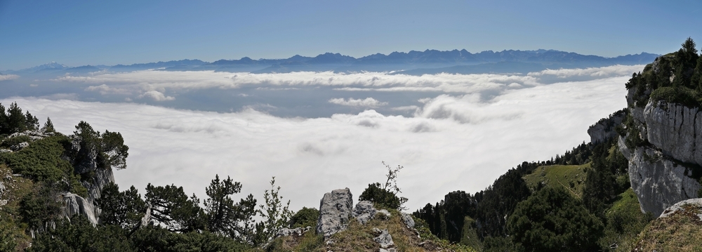 Pano.jpg.da2399ce07b2fa8a26db750b74b8e745.jpg