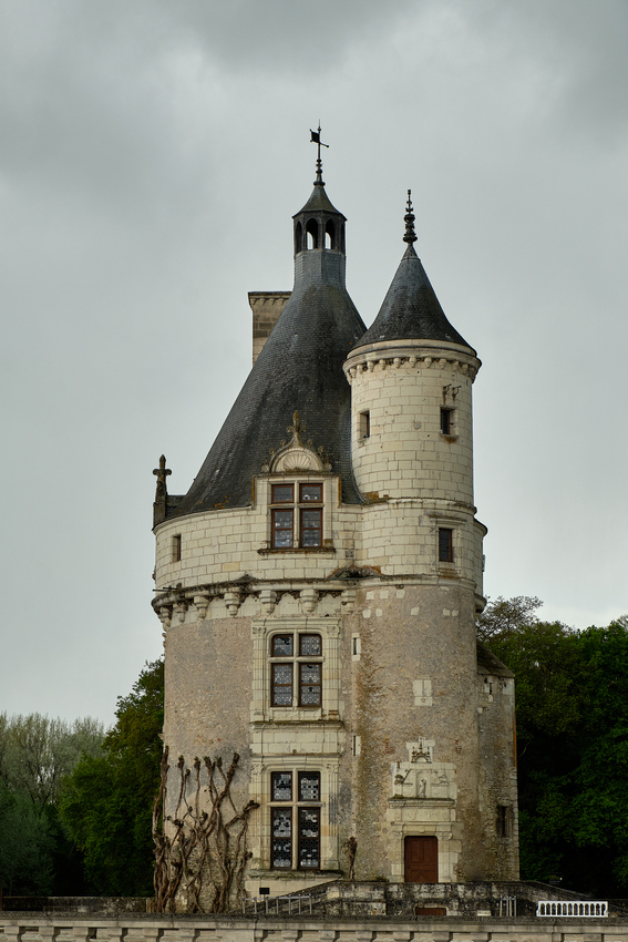VHA03501.jpg