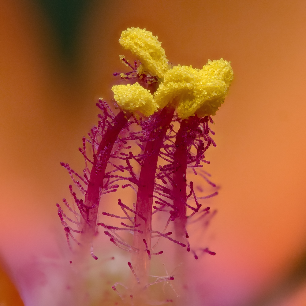 frp128.jpg.886aa46a8dd81c52adb14aab4bfd4eef.jpg