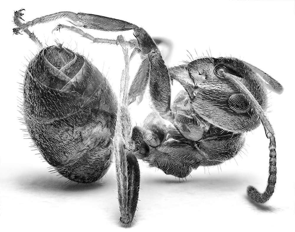 frp135.jpg.a0e26af80ffc553ace384869ffd36852.jpg
