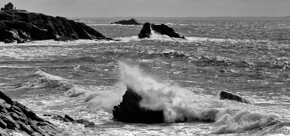1642051101_IMG_0155P_DxO_NikNBA.jpg.0b68a50e2e37f39d5690ec6285a46323.jpg