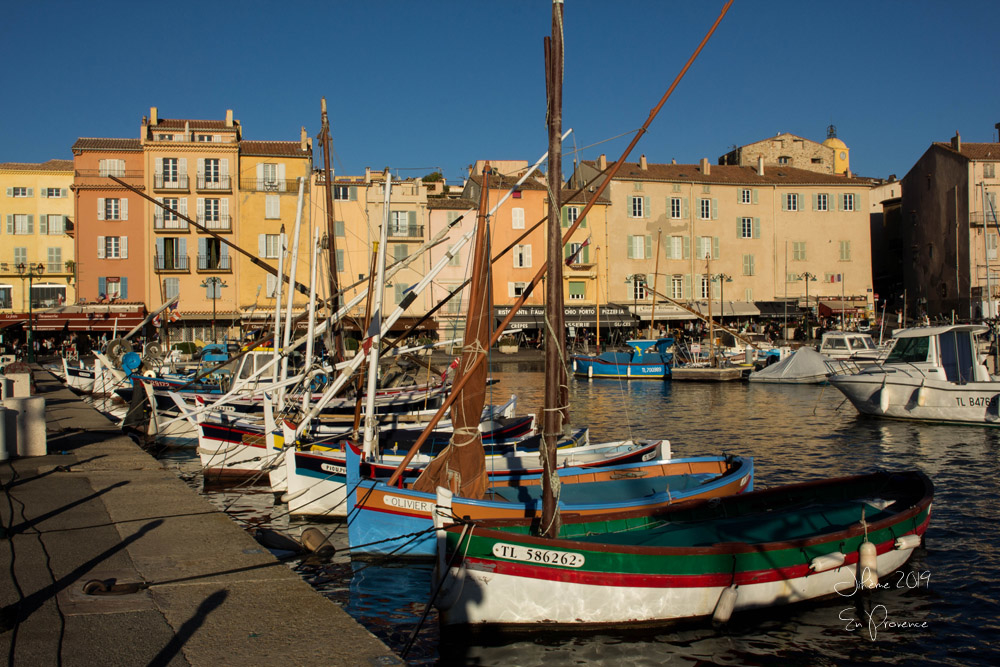 1441249054_2019enprovencesttrop2.jpg.d07e62cf977f3adcbc39f552a5a76762.jpg