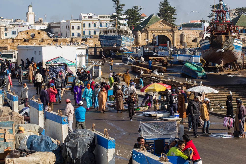 1587811628_Essaouiraport08.jpg.235e89fb46c11023fe5da7527765732a.jpg