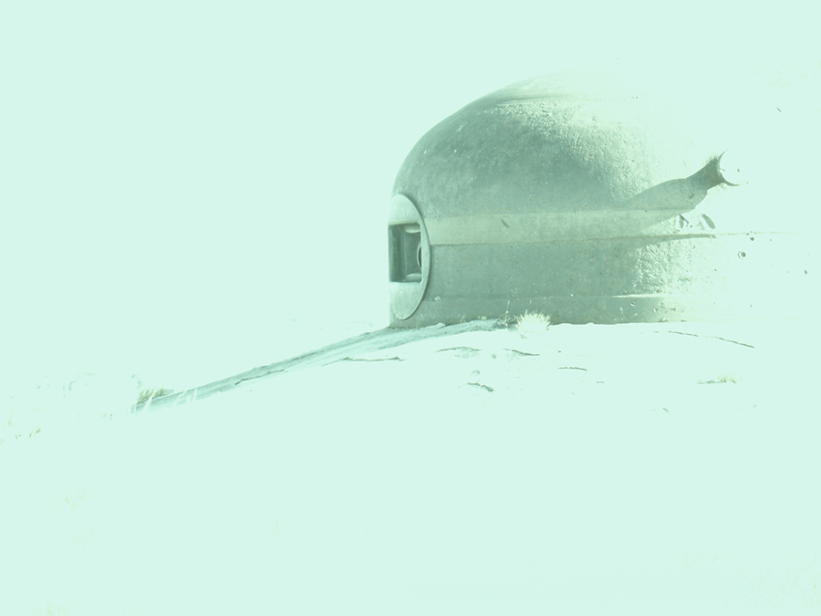 455524577_Hautpoirierbrute.jpg.5b528137ae9dc1ef2a9d67c8c312d88f.jpg
