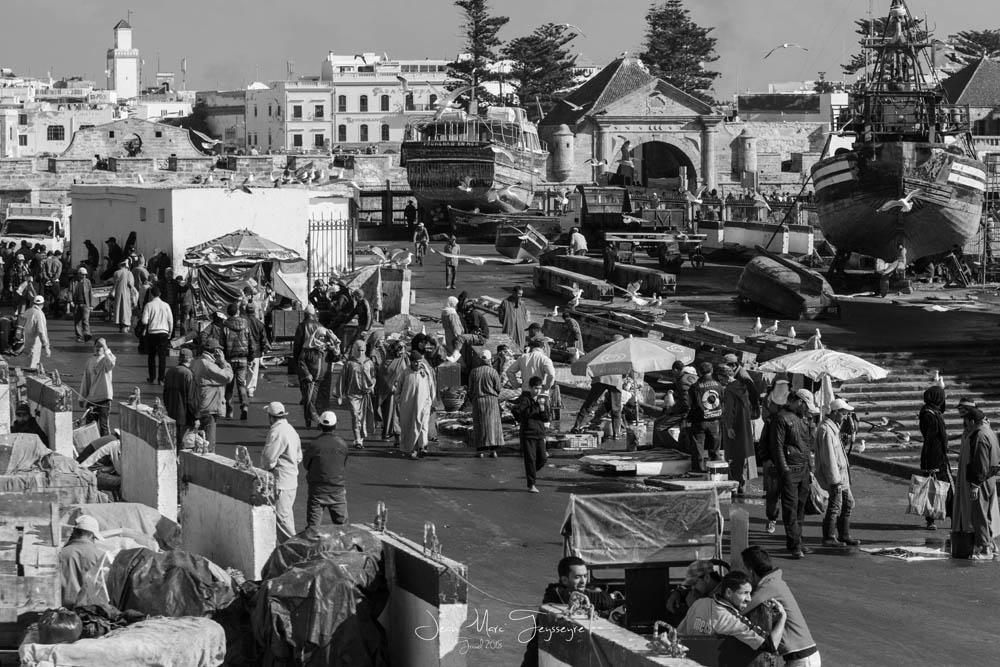 487408055_Essaouiraport08nb.jpg.644129efc72a989bc318151f69e149d2.jpg
