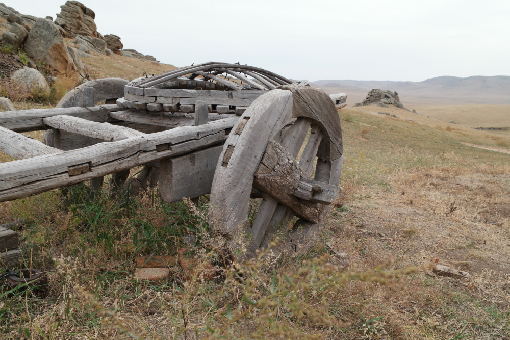 SAM_0095r1000.jpg.e04a1143f444d55fa17d8dded913ff72.jpg
