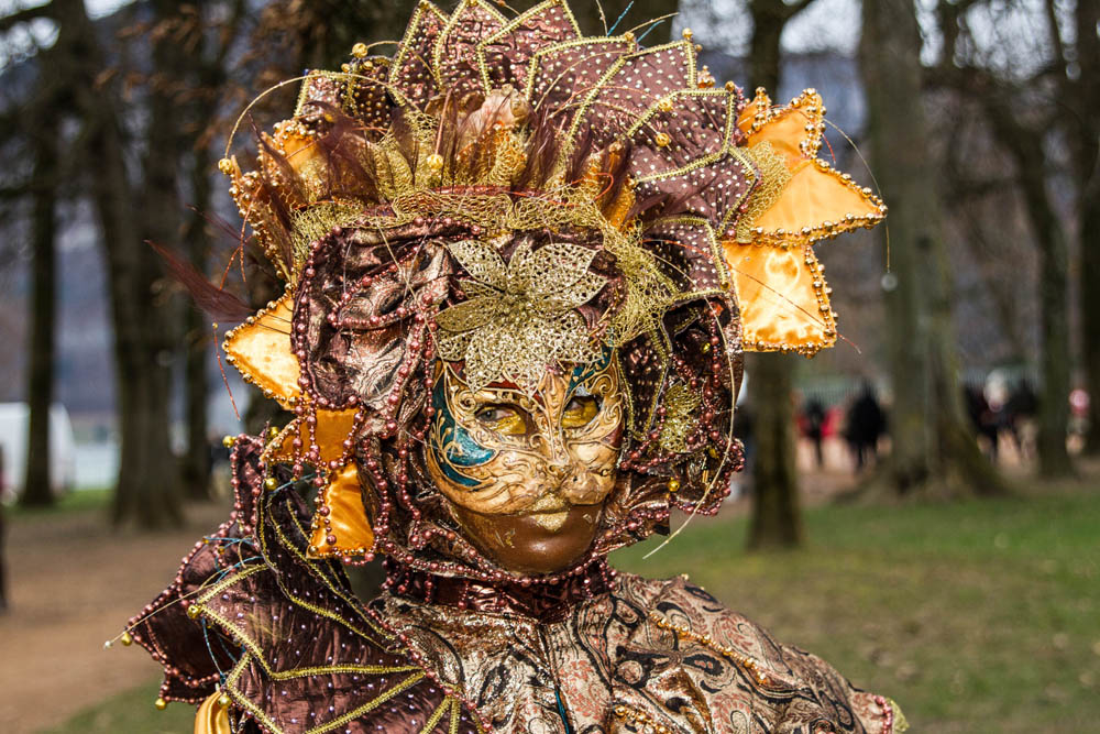 1002679671_2020carnavalannecy201614.jpg.b7d2e8a820d7cd0717a2f202ad92db57.jpg
