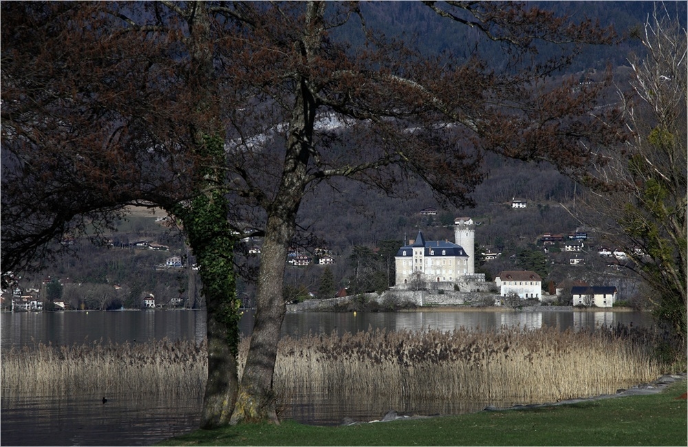 1338421815__MG_0263-duingtredfin.JPG.666a20422766bebb0b56dcfc9ff70bdd.JPG