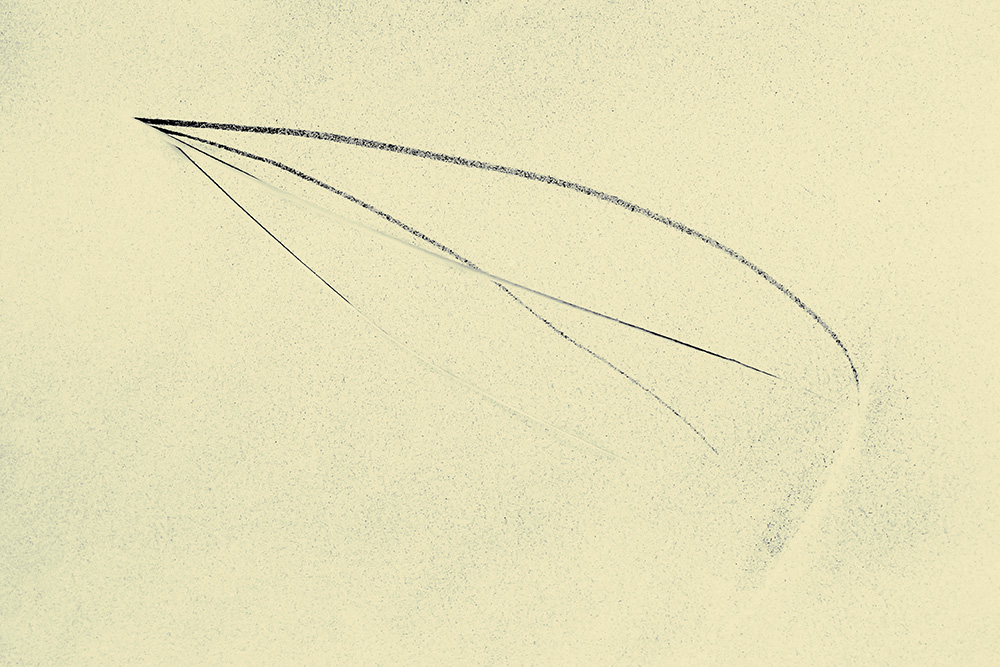 1489691413_haikuXV.jpg.d1daae49ce1b2a3219f90e92f03bdda6.jpg