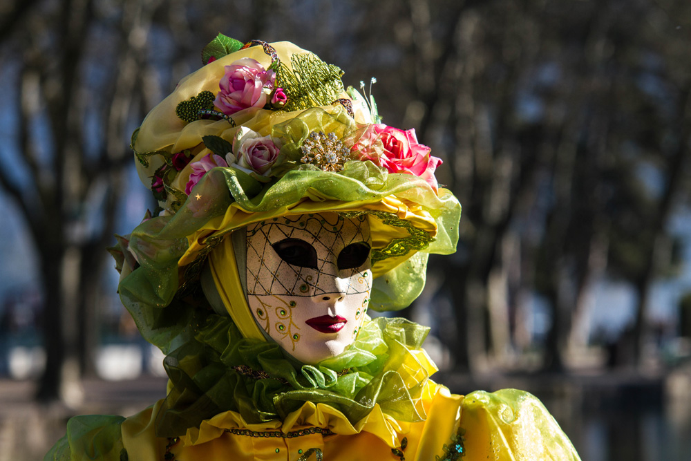 2072274146_2020carnavalannecy201615.jpg.b0716d94cd38537b6a5dd27e8f92d4e2.jpg