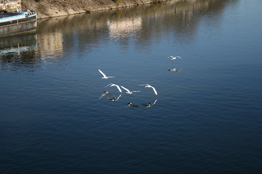 49200760302_fd9c3d5e21_k.jpg