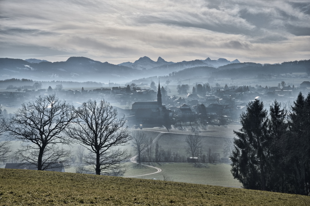 DSC_1011_1000.jpg.d69ad8d8f86efb04ed557407ce23f0aa.jpg