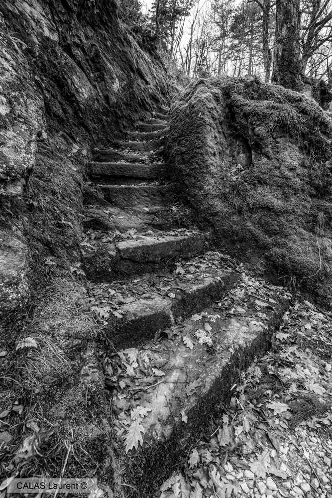 Escalier.jpg.b4092a50abb3de1b2fe031090d787533.jpg