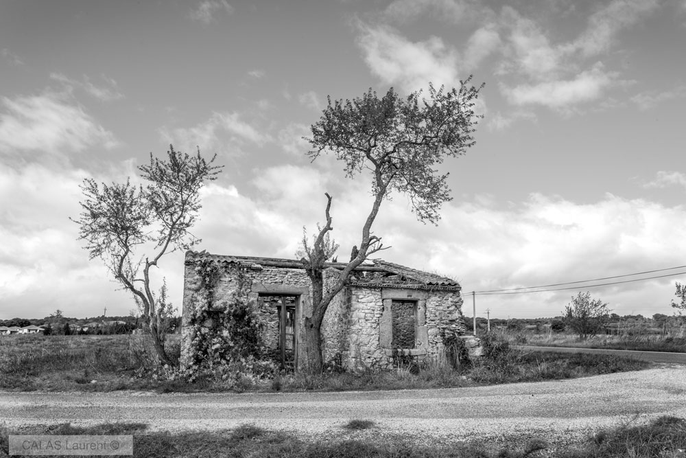 Ruine.jpg.be1b5f58a97c65e13c608640f653f5a1.jpg