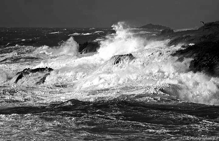 20200210_102137.jpg.a81f8c07a88a811282c064062d390677.jpg