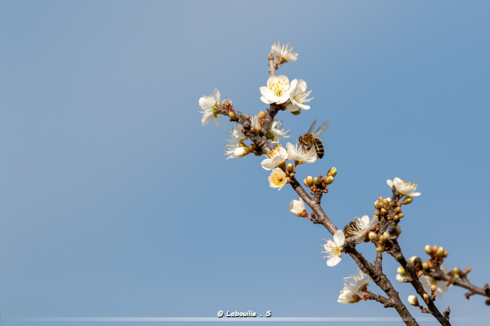 7d-10922.jpg.e1740cb378f750363ed63e83467de8a4.jpg