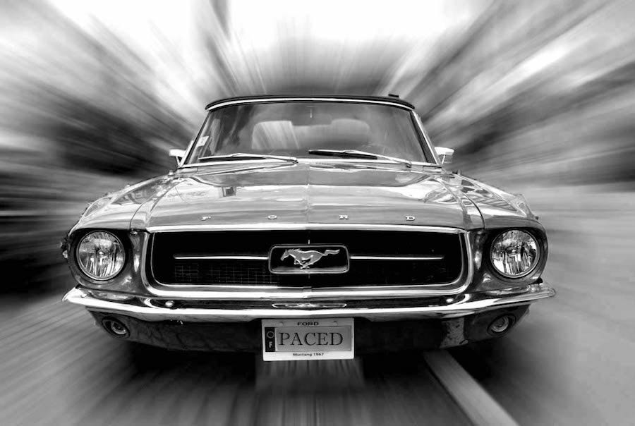 833396166_DSC_210007copie.jpg.49c43a73b3d281facf1eab5a5f43f1e0.jpg