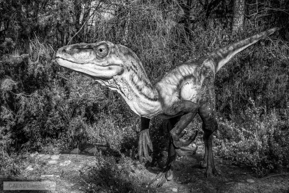 925760240_Parc-dino-Mze.jpg.0582d25d904da2d8ebd7f85389be93e6.jpg