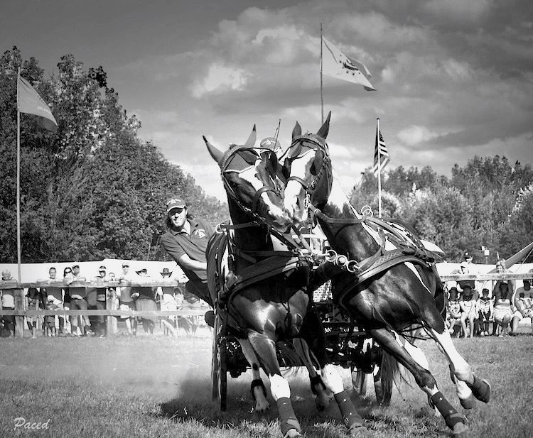 DSC_0269-2.jpg.7694f5e0923d68fe99556863b6e94dd3.jpg