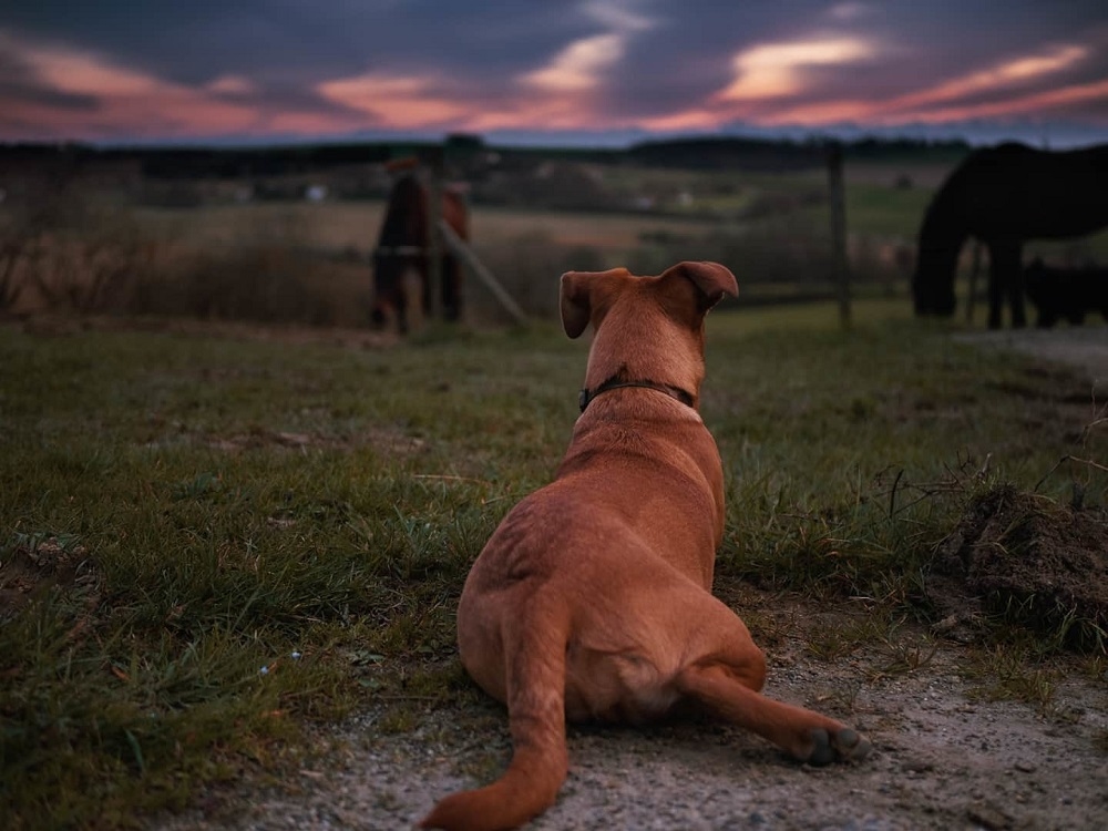 IMG_20200216_190653_824.jpg.ba5a52e23ccbb1ccc495cc872b550852.jpg