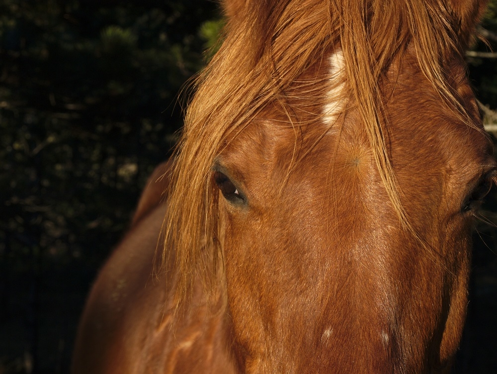 regard.jpg.c1e9fc7461d55f908baec9e9f15d4bcd.jpg