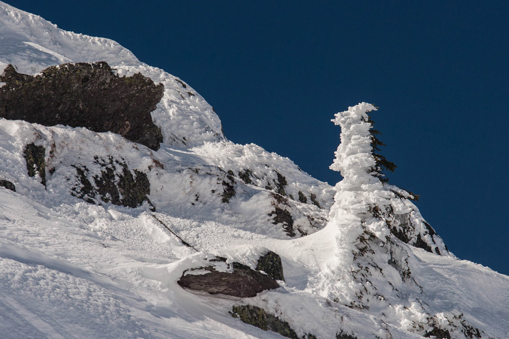 1402072773_givre01.jpg.e9a0f8c5d01236ad2c92c5039d132fa1.jpg