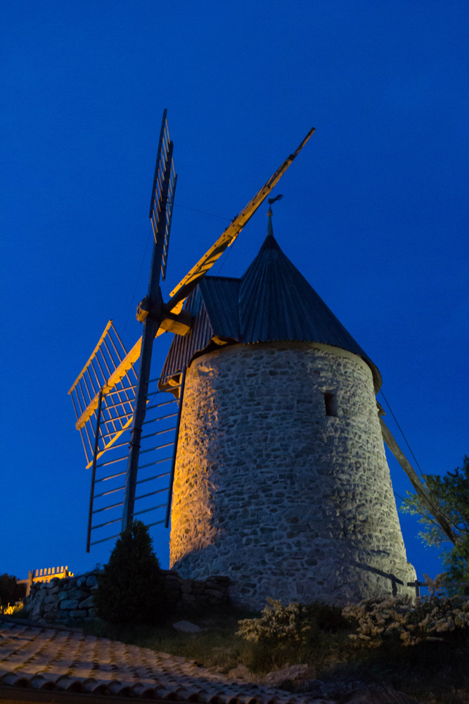 1683266116_2014IMG_23617cucugnancopie.jpg.63013ab748e06d6fd323139a3418a18b.jpg