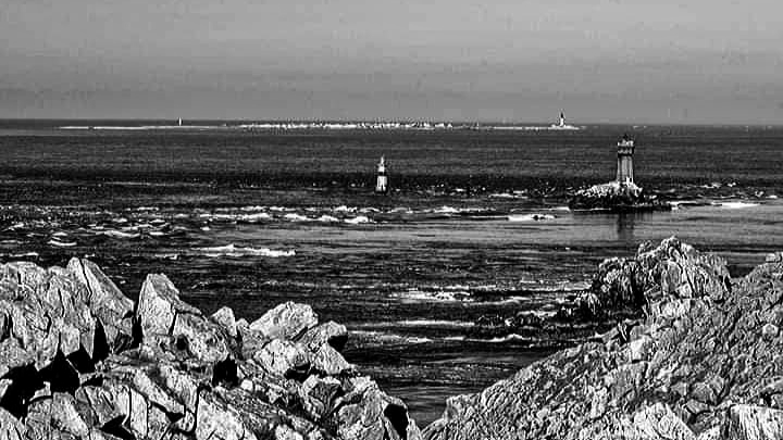 20200322_123718.jpg.0093104355943684b647e587f2e8ea8e.jpg