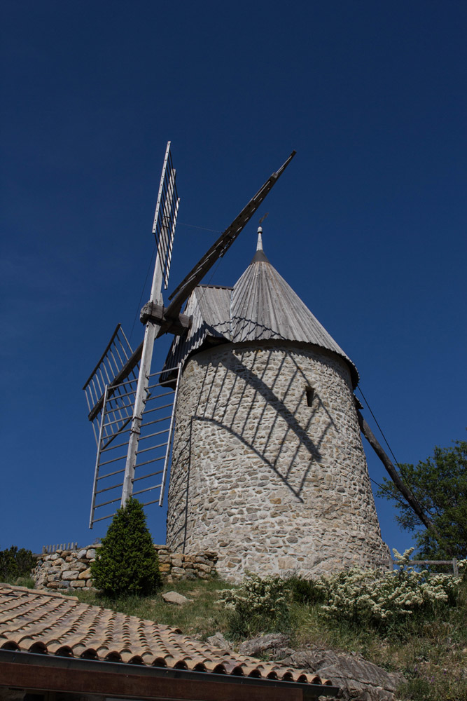 335777995_2014IMG_23617cucugnan.jpg.3de734fae70123d1f80dd43d227d997f.jpg