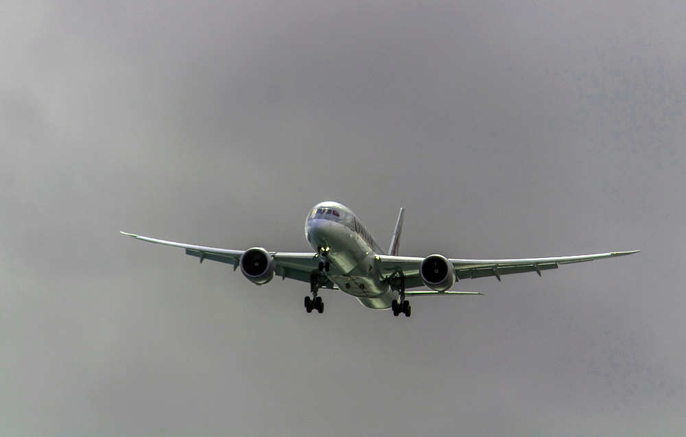 337648577_IMG_0052boing787Dreamliner.jpg.1ba36bd5ac6ac3a6000b3ccca1daf476.jpg