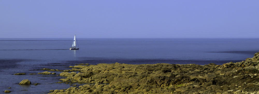 DSC_0605-8.JPG.408fa0902b55b38e762d6d3bb4116837.JPG