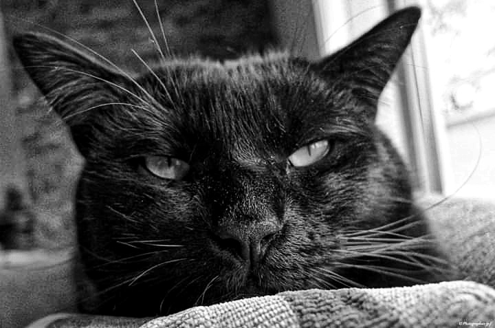 FB_IMG_1584786491510-03.jpeg.b3f64cc03319c7dfe978efac33961887.jpeg