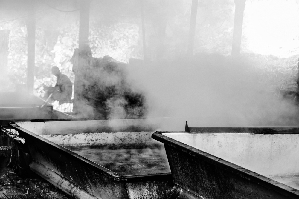 Le-fantome_BW04R_DSC_6845_DxO.jpg.ad2ef260c29deb88d67a45d5356c018b.jpg