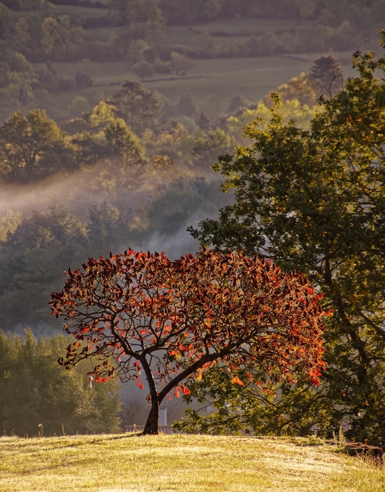 _DSC8836_DxO_1.jpg.8f92ebeabcd9a97a8d23c8a4d515be57.jpg