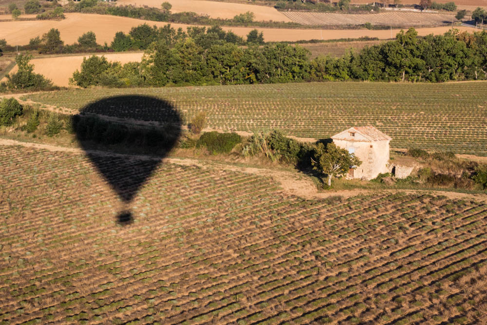 31654895_2012ballonvalensole11.jpg.97eecd4444515a601a69572f81e35263.jpg