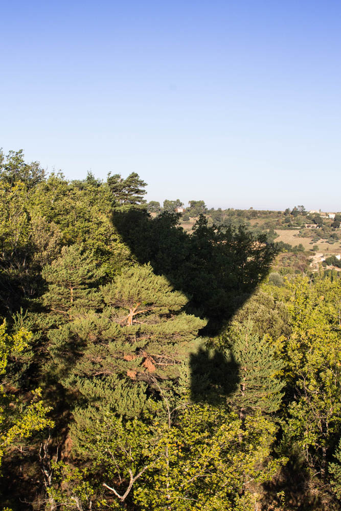 382827836_2012ballonvalensole15.jpg.cac609f6b8cb42c3d705f895470fe4e7.jpg