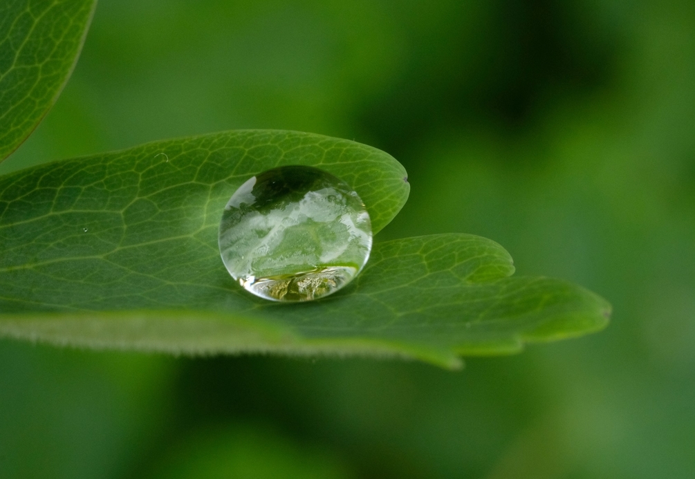 DSCF9602.jpg