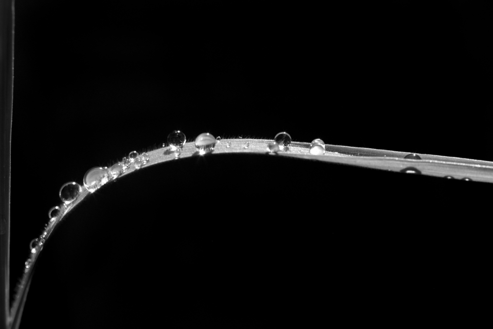 courbe2.jpg.92b1fa443feaea3377cd341e4e9099f3.jpg